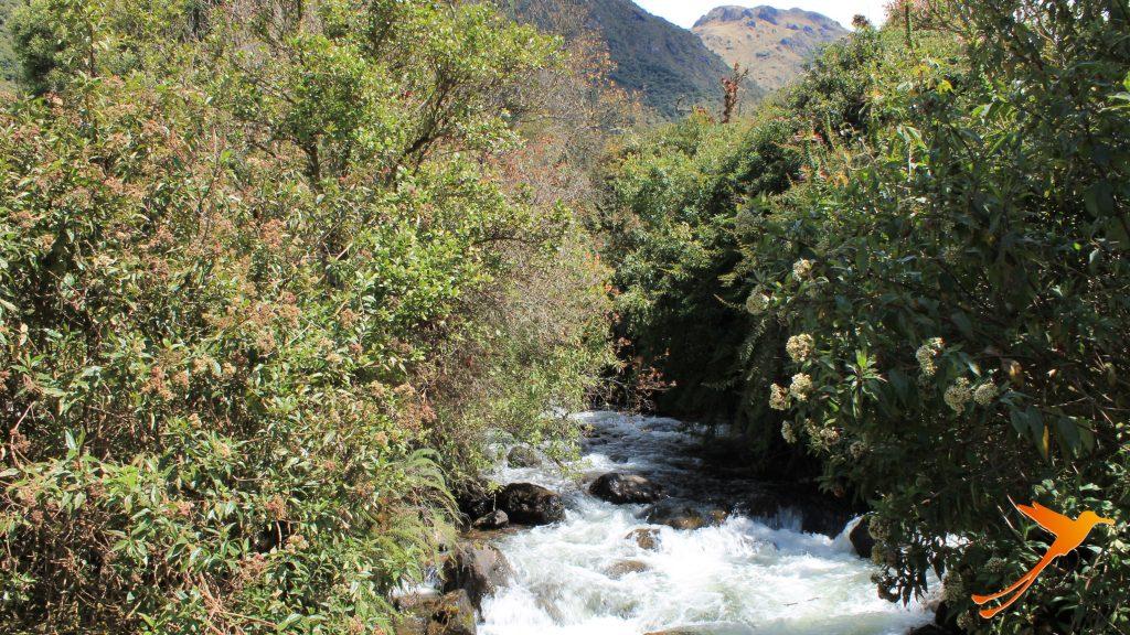 river ecuador, nature papallacta