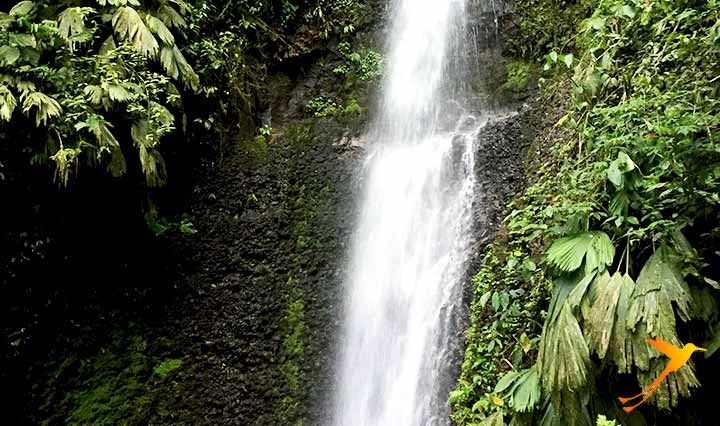 Waterfall in Naturaleza Viva Reserve near Puyo